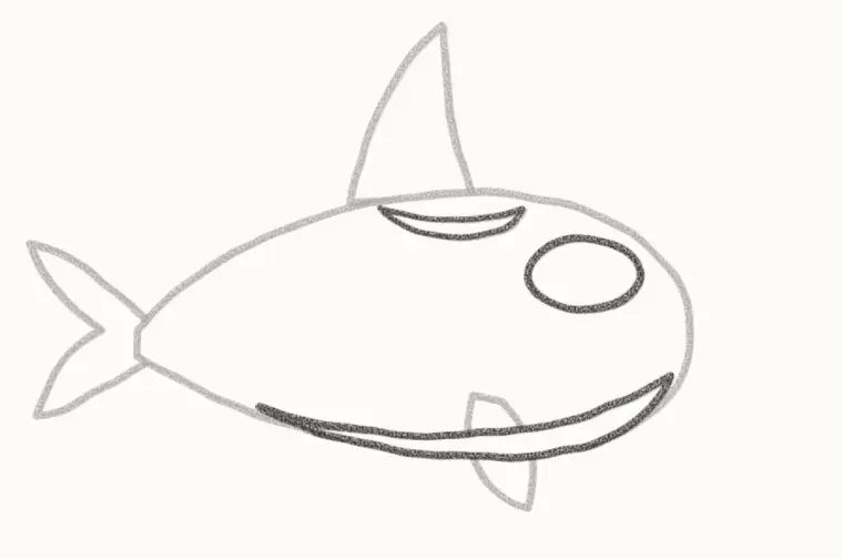 How to Draw a Cartoon Orca, step 5: draw the white patches