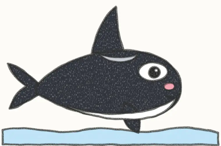 How to Draw a Cartoon Orca, step 7 of 7: color your orca, pencil drawing