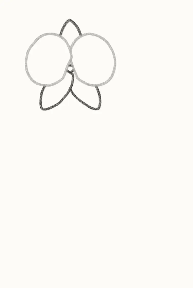How to Draw a Cartoon Orchid, step 2: add three pointy petals