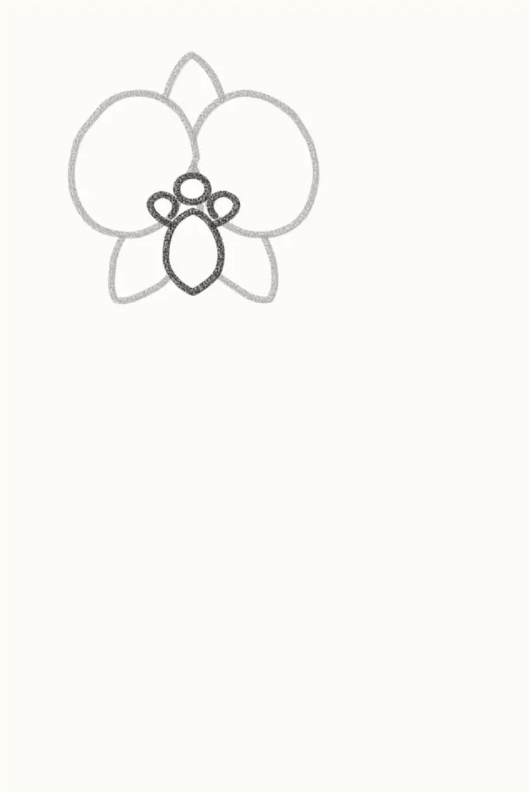 How to Draw a Cartoon Orchid, step 3: draw the middle