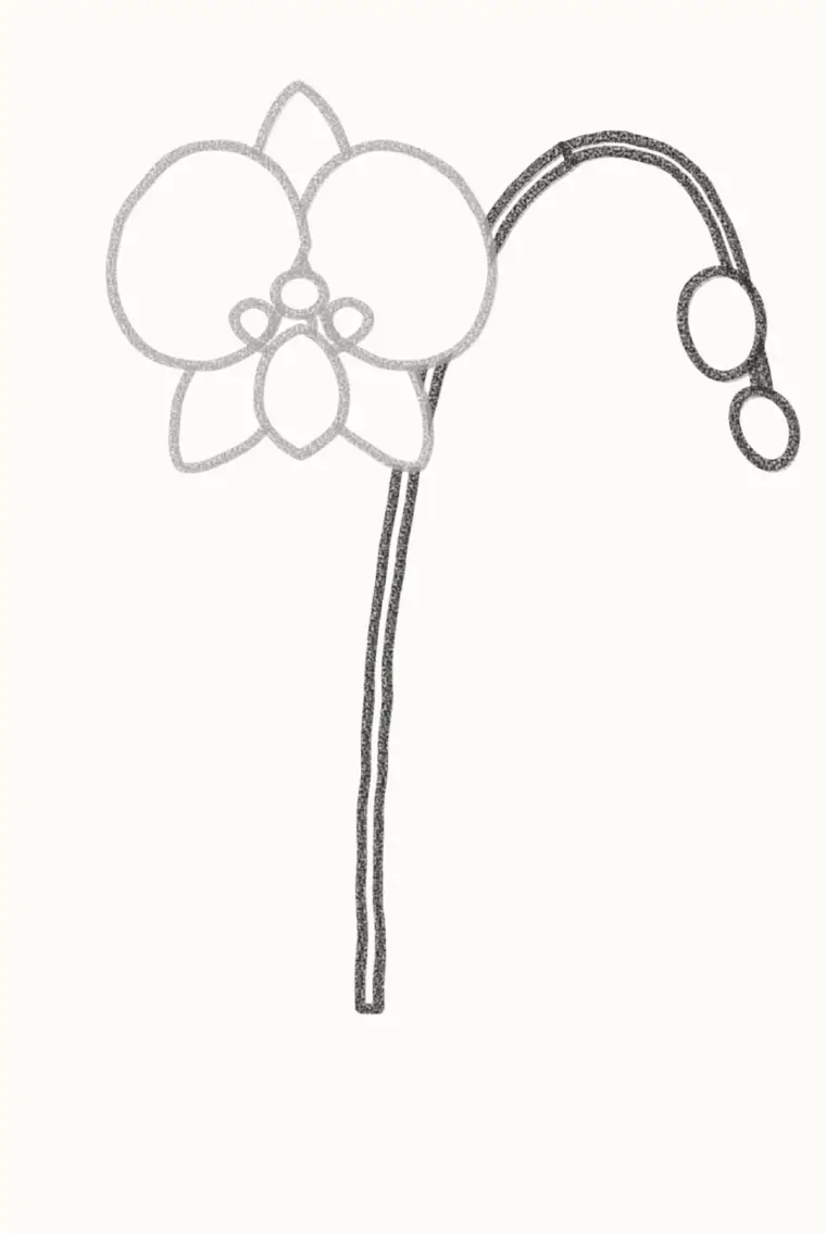 How to Draw a Cartoon Orchid, step 4: draw the stem and buds