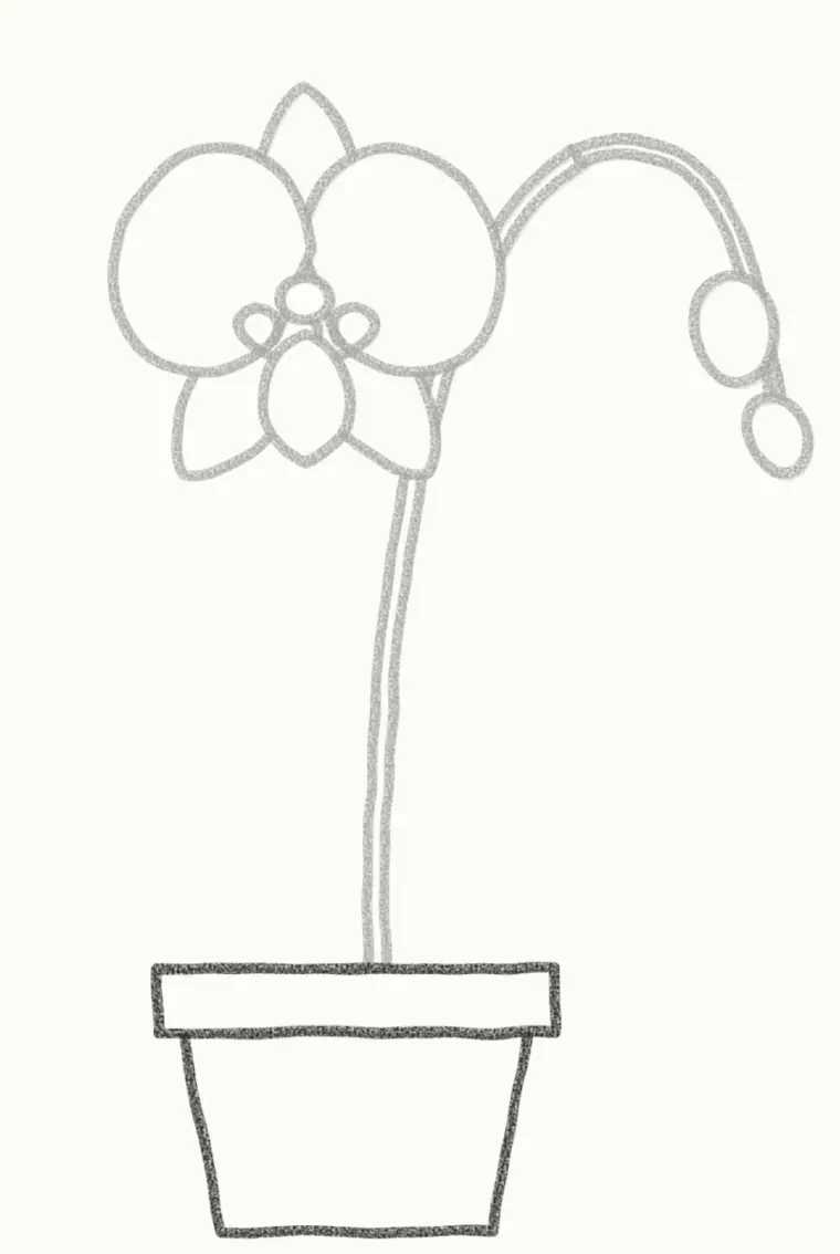 How to Draw a Cartoon Orchid, step 5: draw the pot