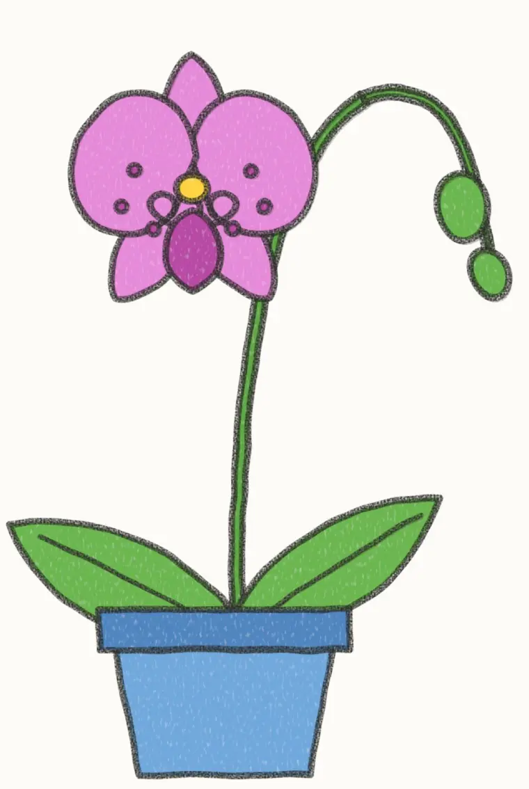 How to Draw a Cartoon Orchid, step 7 of 7: color your orchid, pencil drawing