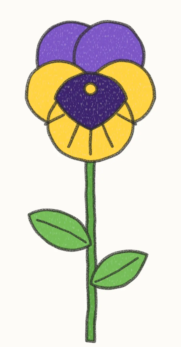 How to Draw a Cartoon Pansy, step 7 of 7: color your pansy, pencil drawing