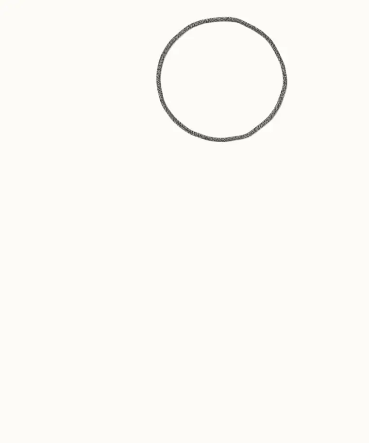 How to Draw a Cartoon Parrot, step 1: draw the head
