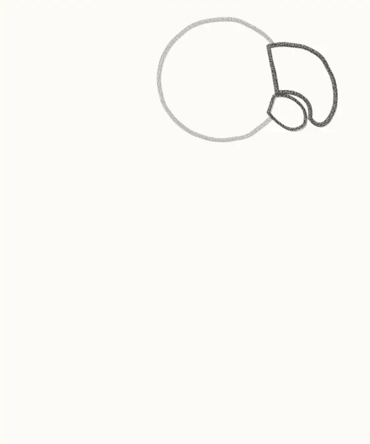 How to Draw a Cartoon Parrot, step 2: add the hooked beak