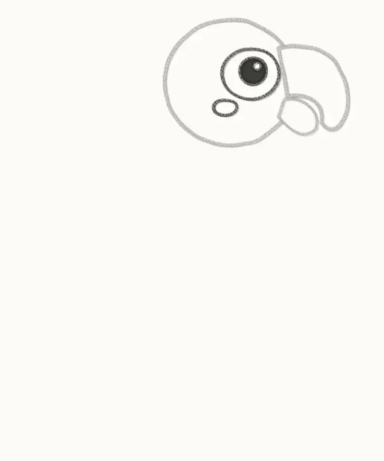 How to Draw a Cartoon Parrot, step 3: draw the face