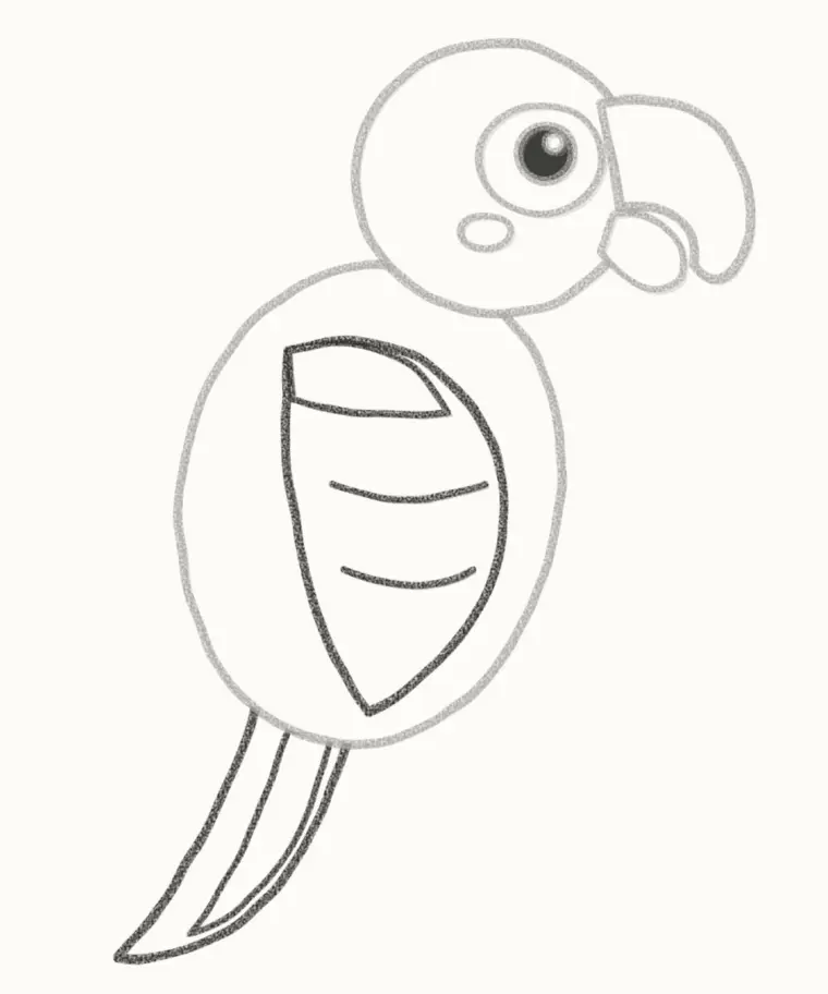 How to Draw a Cartoon Parrot, step 5: add the wing and long tail