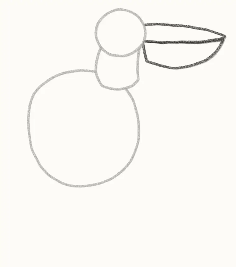 How to Draw a Cartoon Pelican, step 3: draw the long beak and pouch