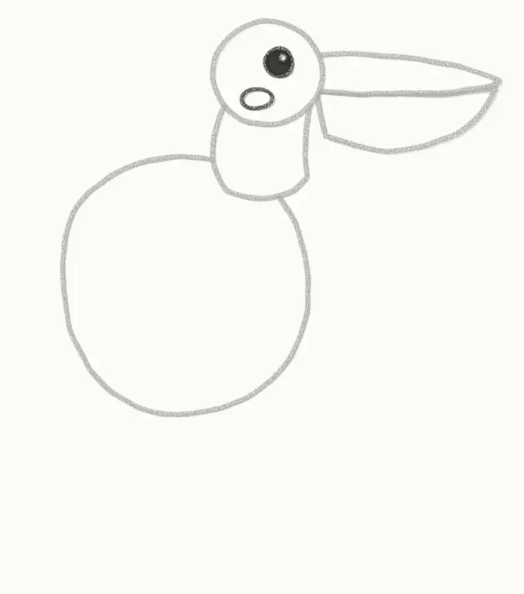 How to Draw a Cartoon Pelican, step 4: draw the face