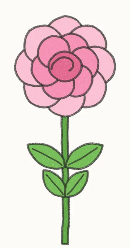 Finished cartoon peony drawing, coloured