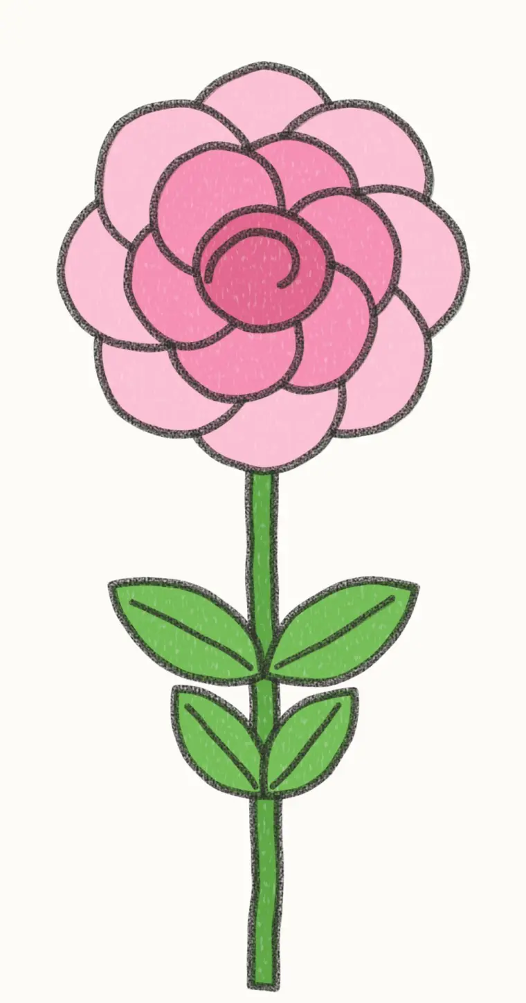 How to Draw a Cartoon Peony, step 7 of 7: color your peony, pencil drawing