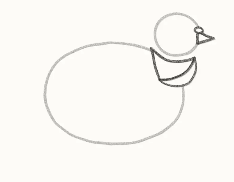 How to Draw a Cartoon Pigeon, step 3: draw the beak and neck