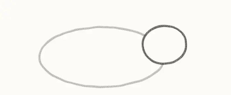 How to Draw a Cartoon Platypus, step 2: add the head