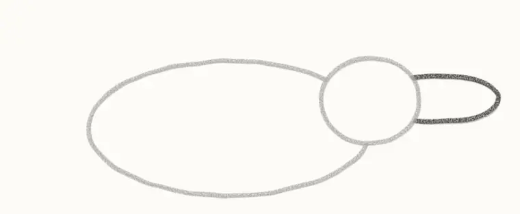 How to Draw a Cartoon Platypus, step 3: draw the duck bill