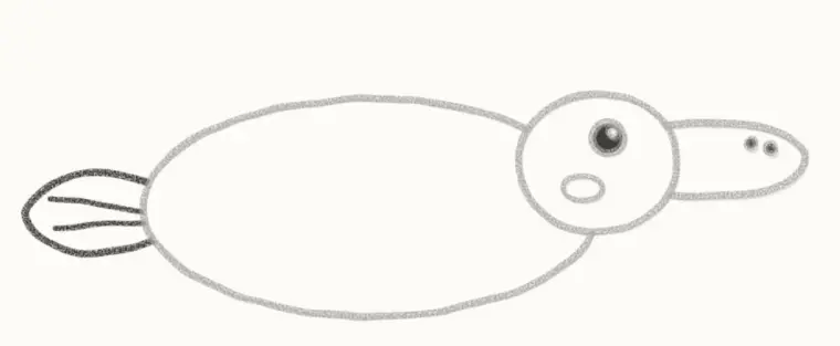 How to Draw a Cartoon Platypus, step 5: add the flat tail