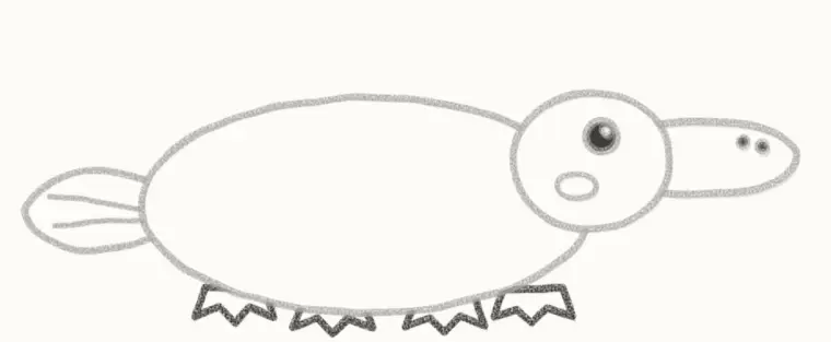 How to Draw a Cartoon Platypus, step 6: draw the webbed feet
