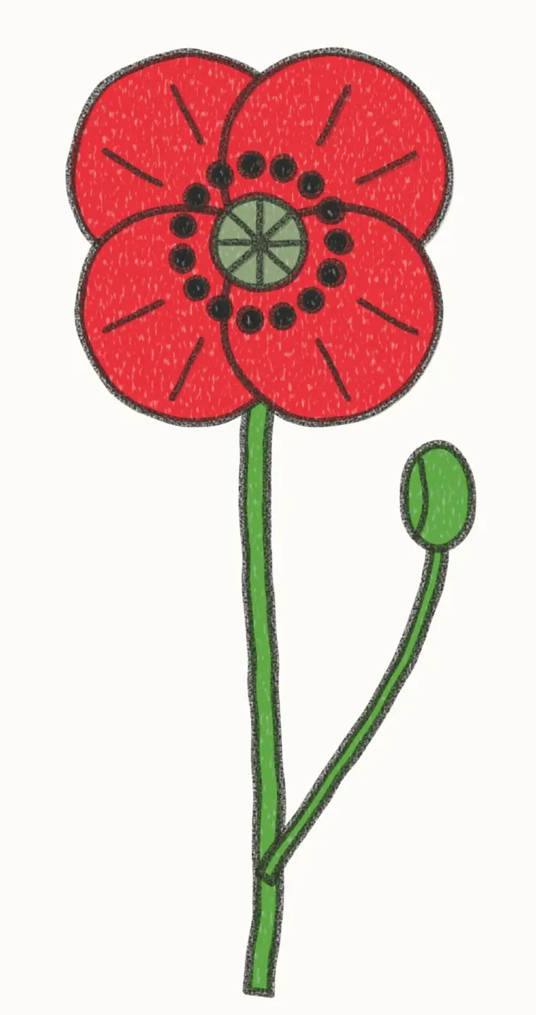 How to Draw a Cartoon Poppy, step 7 of 7: color your poppy, pencil drawing