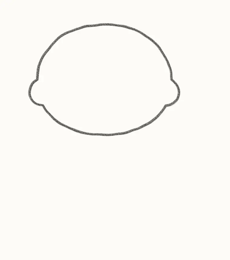 How to Draw a Cartoon Red Panda, step 1: draw the head