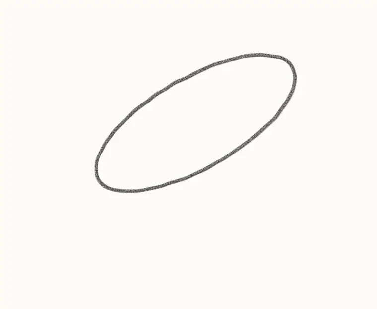 How to Draw a Cartoon Salmon, step 1: draw the body