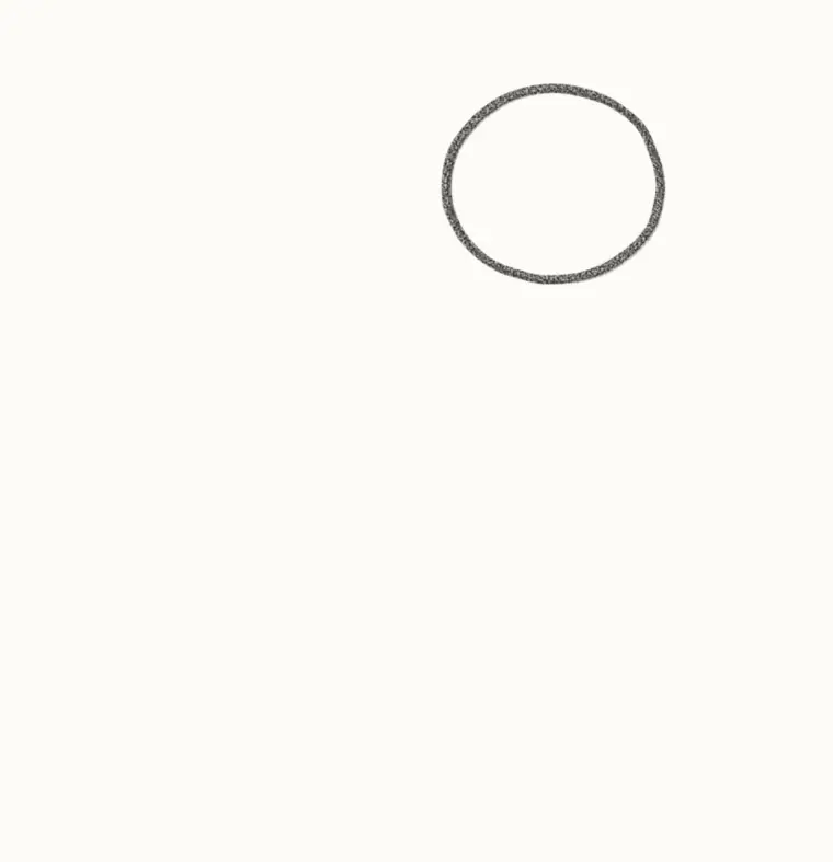 How to Draw a Cartoon Sea Lion, step 1: draw the head