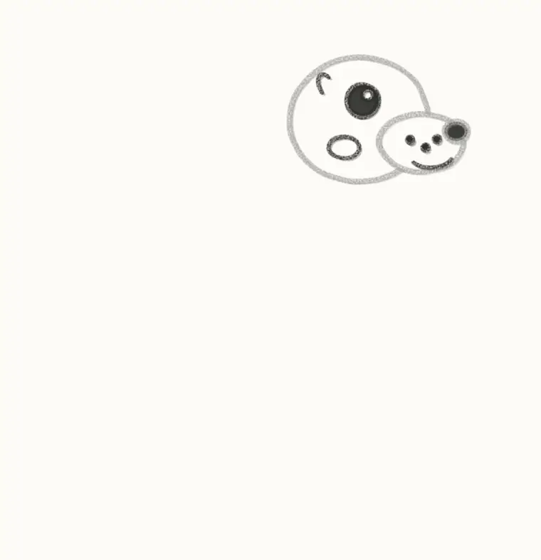 How to Draw a Cartoon Sea Lion, step 3: draw the face
