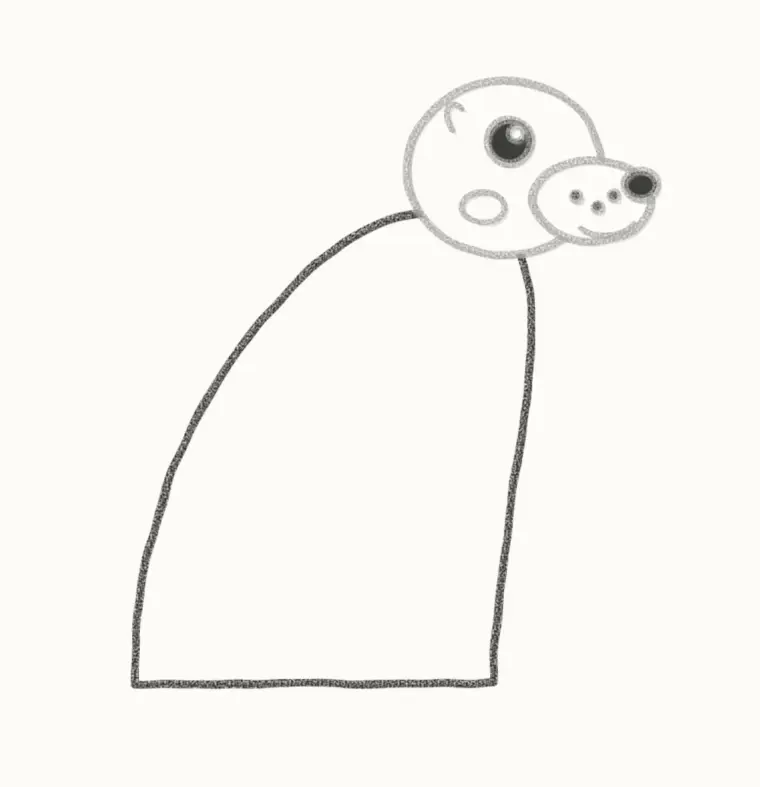 How to Draw a Cartoon Sea Lion, step 4: draw the body