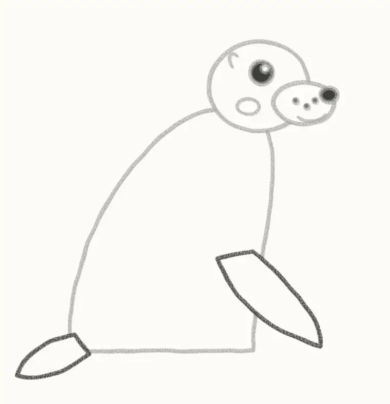 How to Draw a Cartoon Sea Lion, step 5: add the flippers