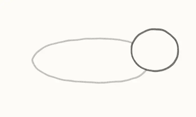 How to Draw a Cartoon Sea Otter, step 2: add the head