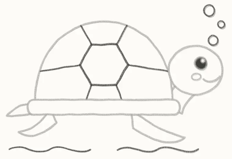 How to Draw a Cartoon Sea Turtle, step 6: draw the pattern and water