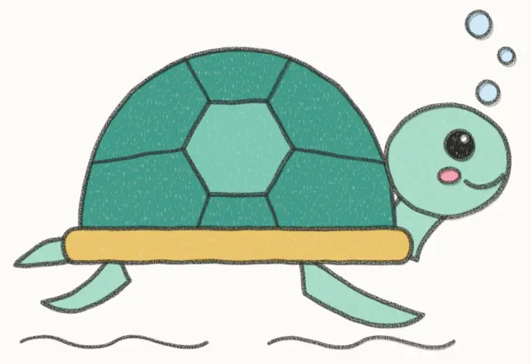 How to Draw a Cartoon Sea Turtle, step 7 of 7: color your sea turtle, pencil drawing