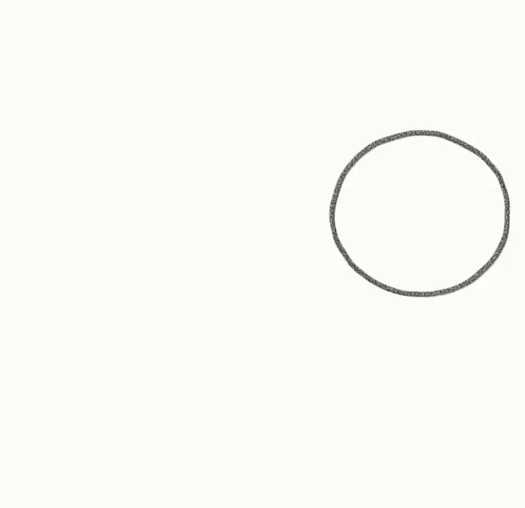 How to Draw a Cartoon Seal, step 1: draw the head