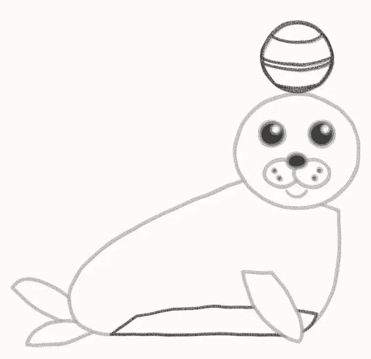 How to Draw a Cartoon Seal, step 6: add the ball