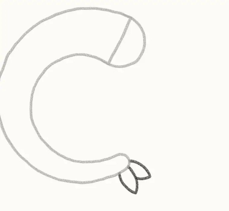 How to Draw a Cartoon Shrimp, step 2: add the tail fan