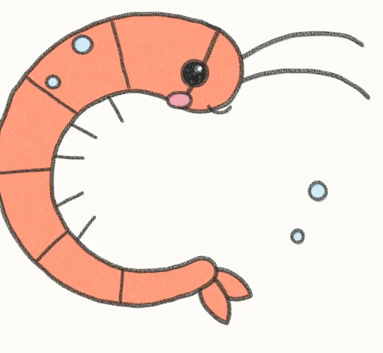 How to Draw a Cartoon Shrimp, step 7 of 7: color your shrimp, pencil drawing