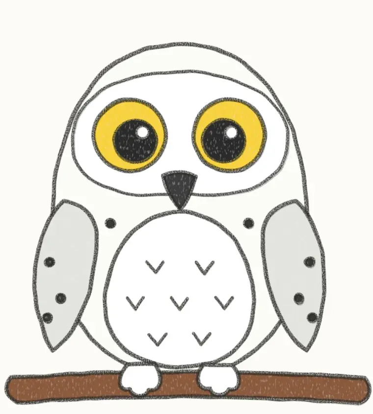 How to Draw a Cartoon Snowy Owl, step 7 of 7: color your snowy owl, pencil drawing