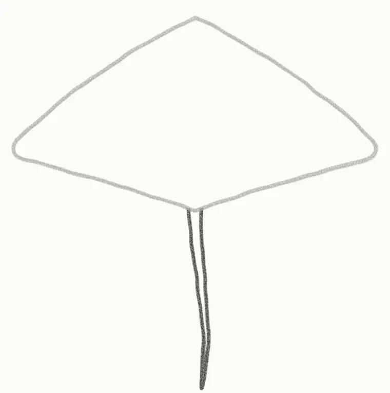 How to Draw a Cartoon Stingray, step 2: add the long tail