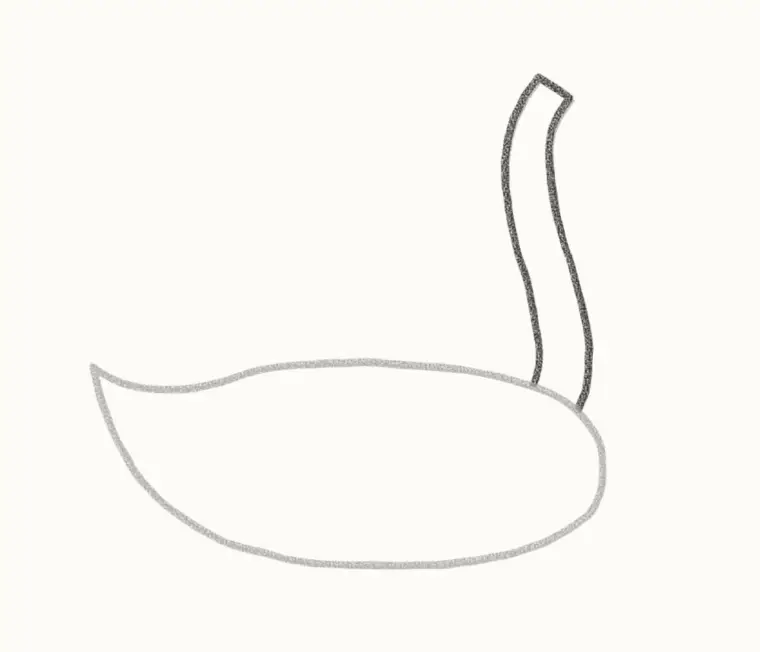 How to Draw a Cartoon Swan, step 2: draw the long neck