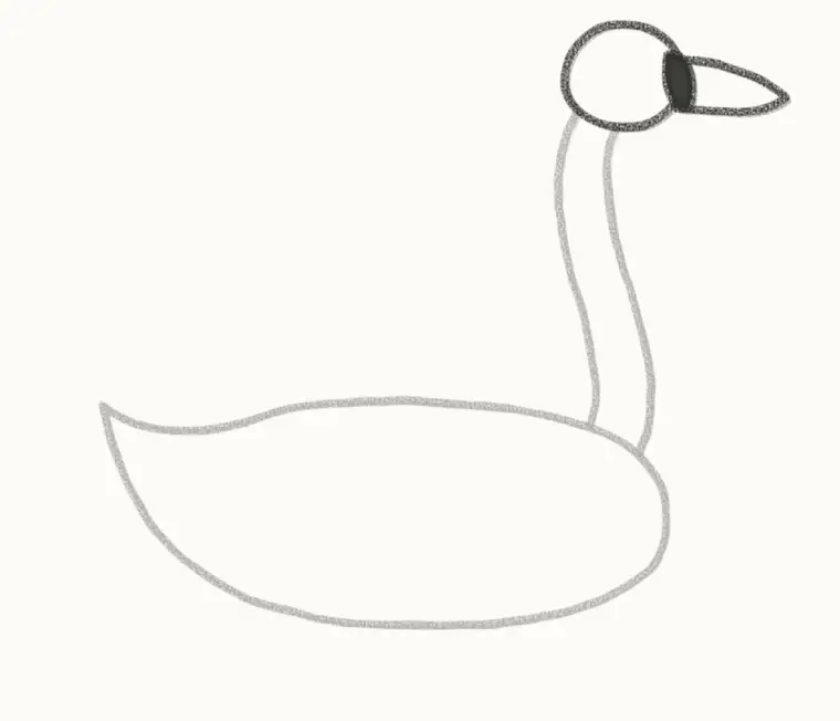 How to Draw a Cartoon Swan, step 3: add the head and beak