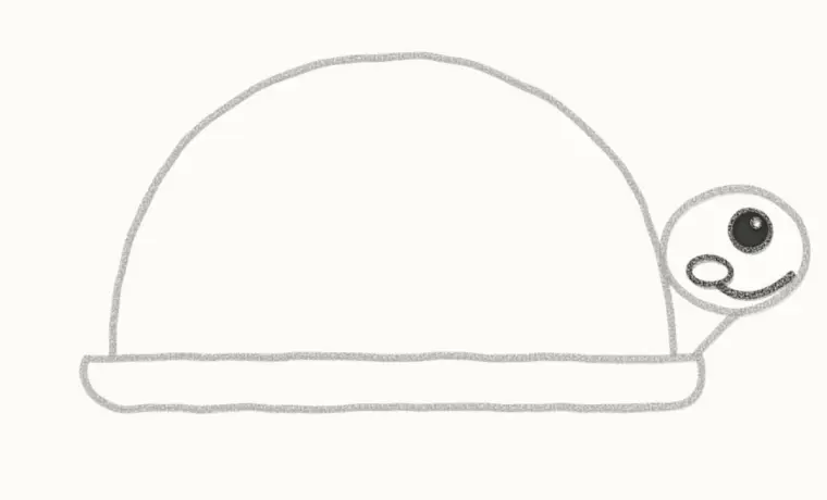How to Draw a Cartoon Tortoise, step 4: draw the face