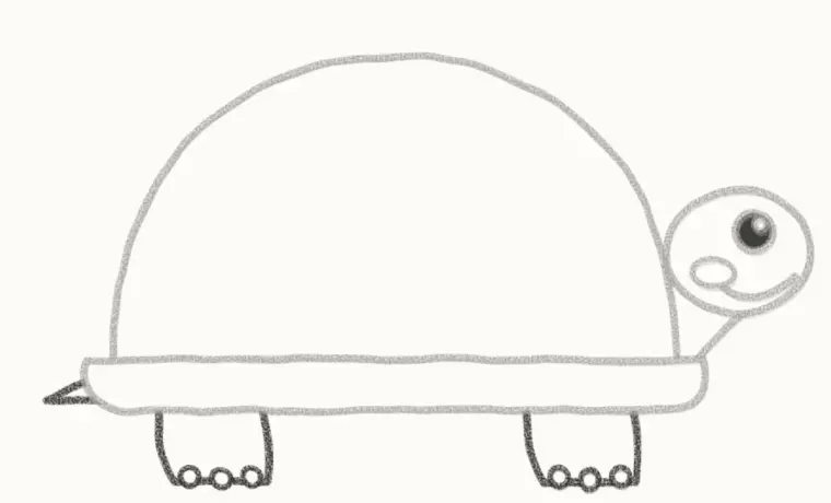 How to Draw a Cartoon Tortoise, step 5: add the legs and tail