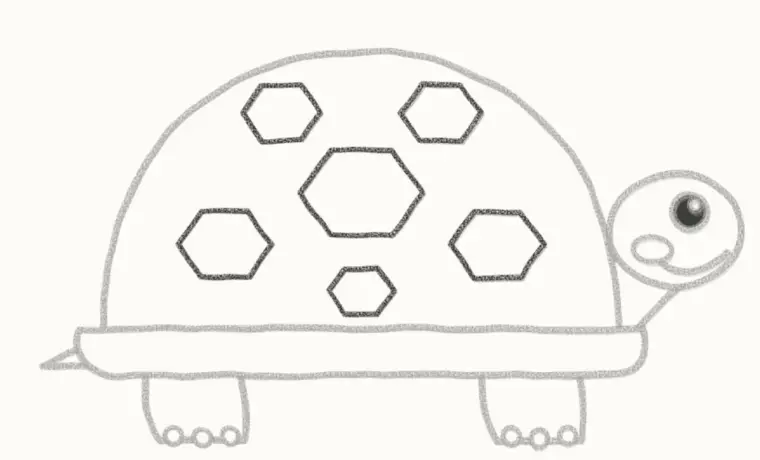 How to Draw a Cartoon Tortoise, step 6: draw the shell pattern
