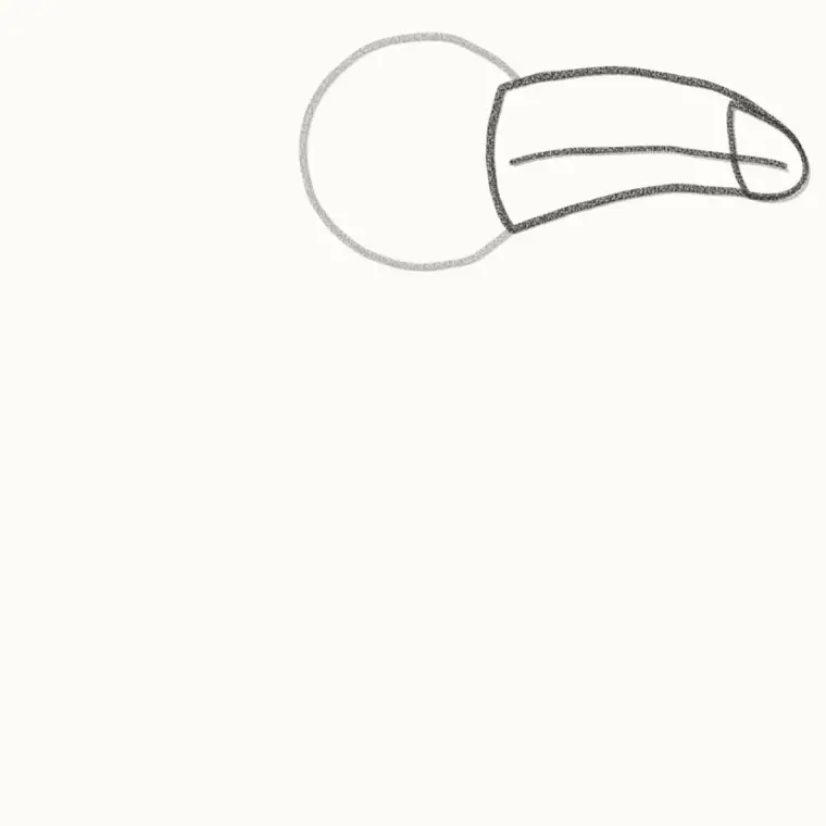 How to Draw a Cartoon Toucan, step 2: add the big beak