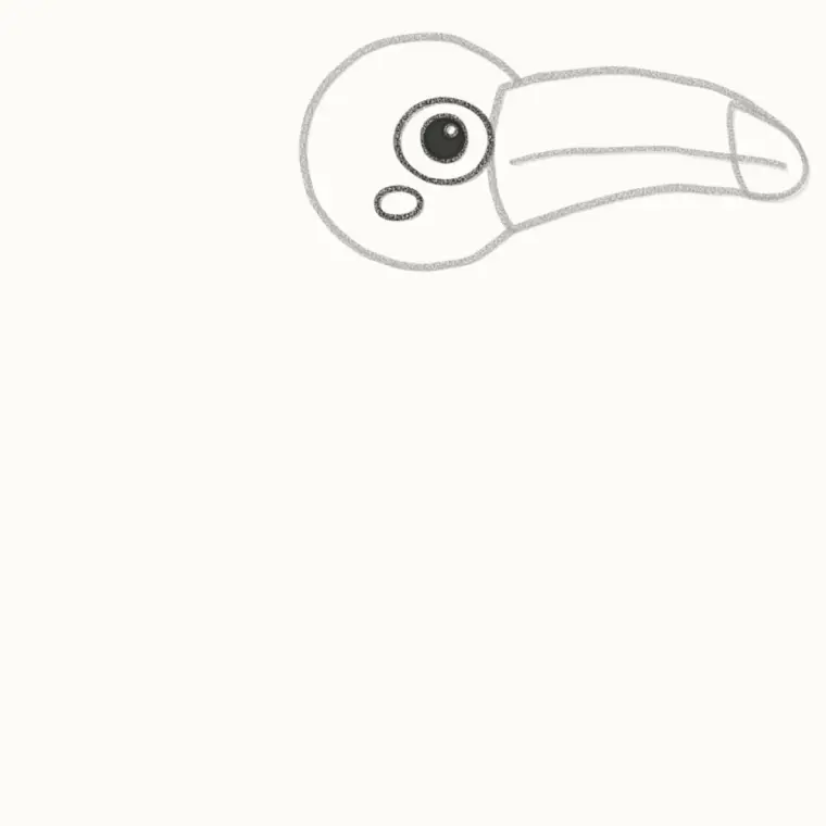 How to Draw a Cartoon Toucan, step 3: draw the face