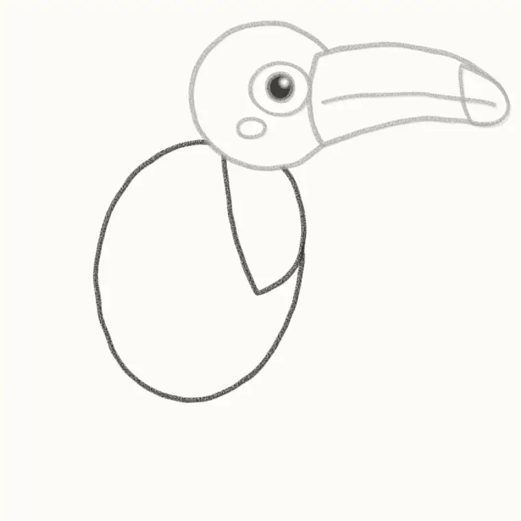 How to Draw a Cartoon Toucan, step 4: draw the body