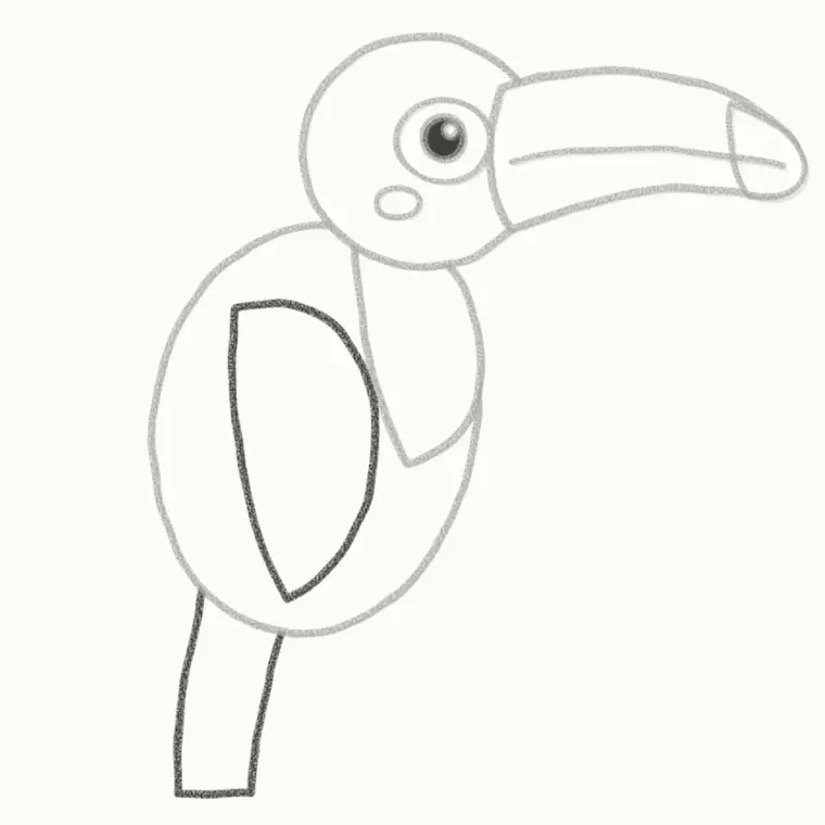 How to Draw a Cartoon Toucan, step 5: add the wing and tail