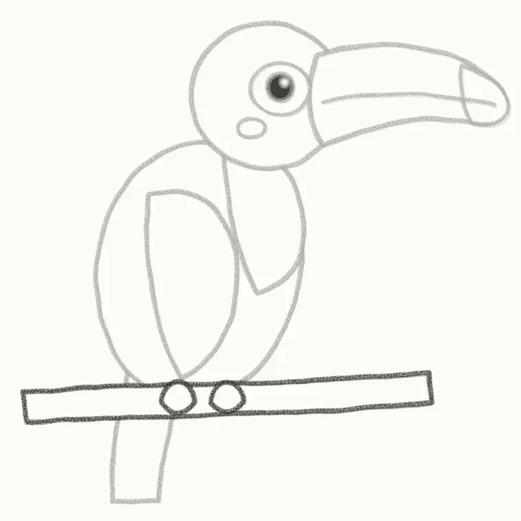 How to Draw a Cartoon Toucan, step 6: draw the branch and feet