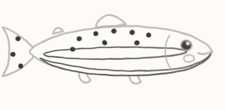How to Draw a Cartoon Trout, step 5: draw the stripe and spots