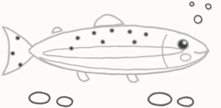 How to Draw a Cartoon Trout, step 6: add the bubbles and pebbles