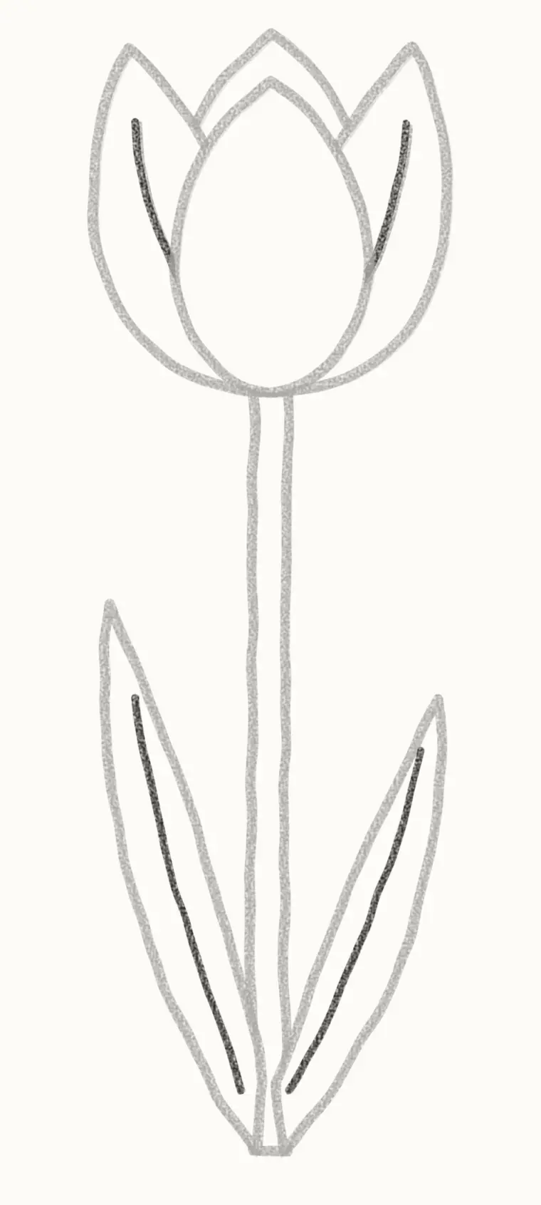 How to Draw a Cartoon Tulip, step 6: add the petal lines